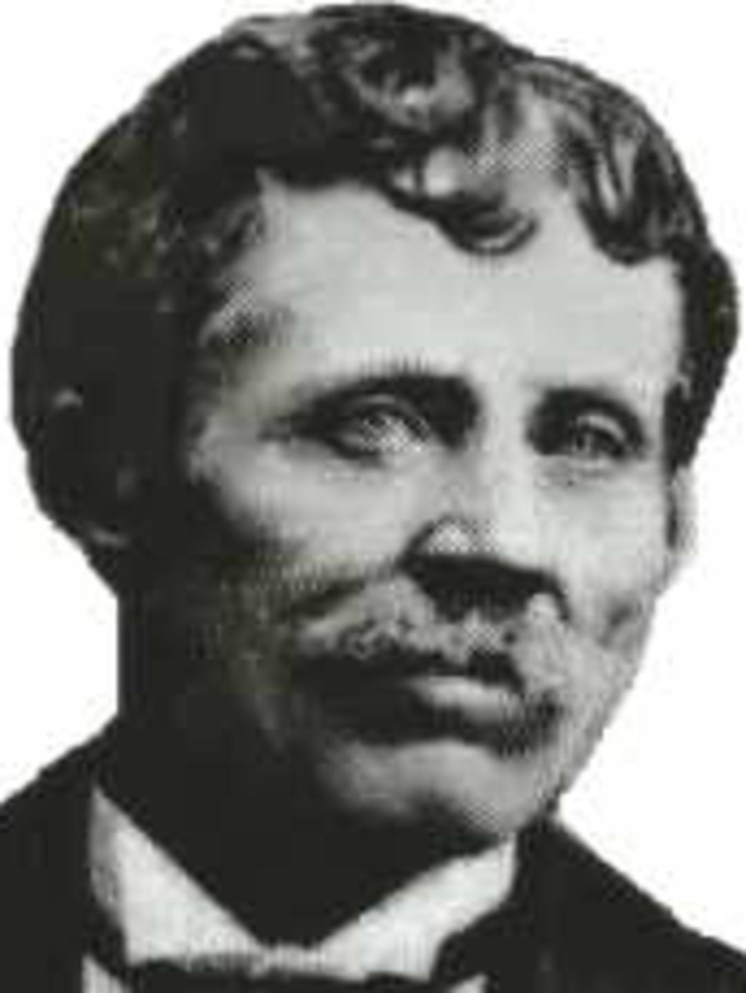 Stephen Hales Ellis (1846 - 1922) Profile